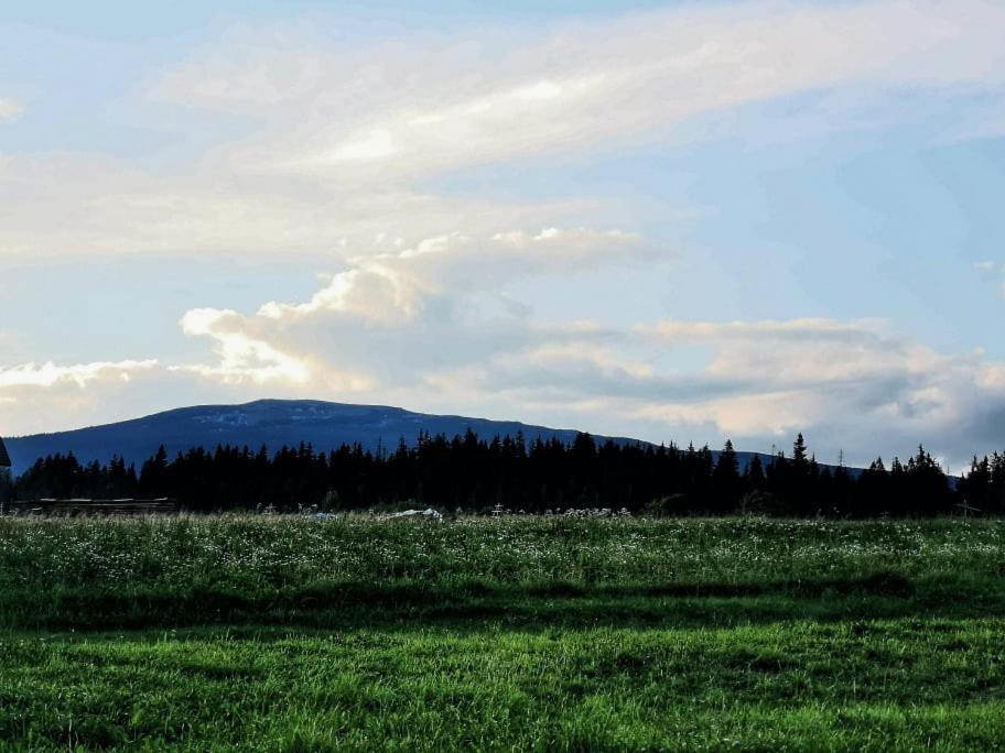 Pokoje U Kasi I Marcina Villa Lipnica Wielka Kültér fotó