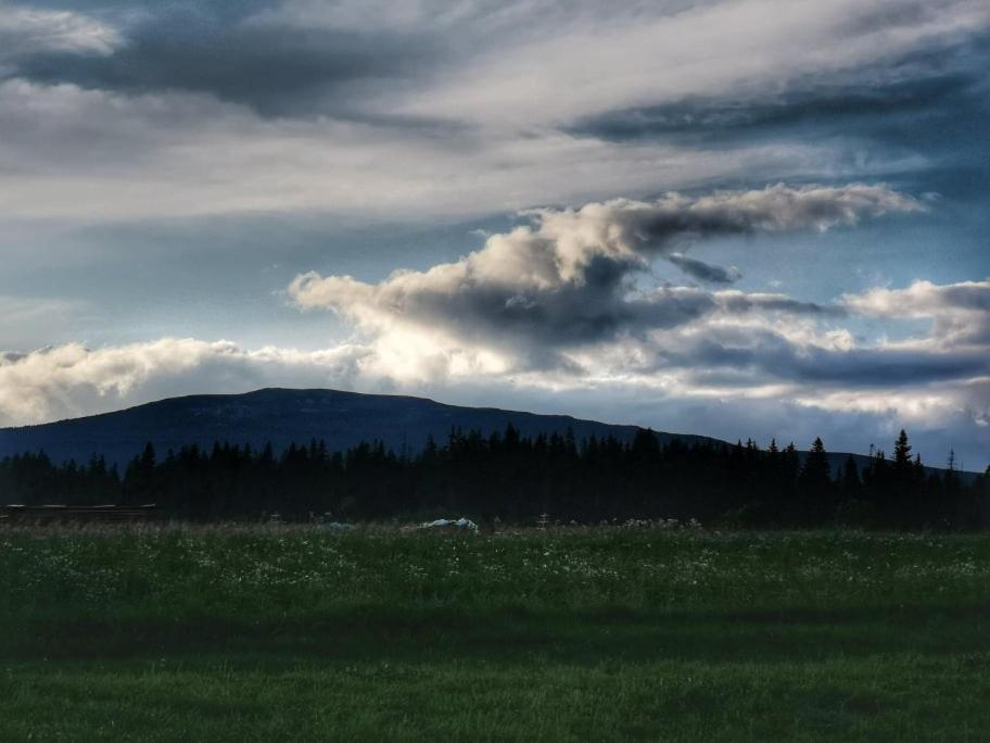 Pokoje U Kasi I Marcina Villa Lipnica Wielka Kültér fotó