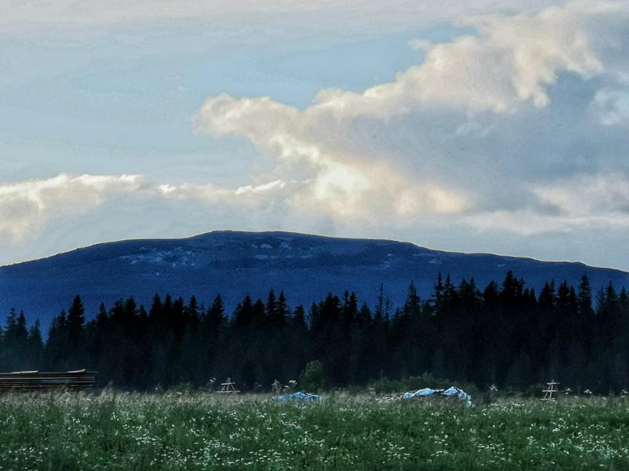 Pokoje U Kasi I Marcina Villa Lipnica Wielka Kültér fotó